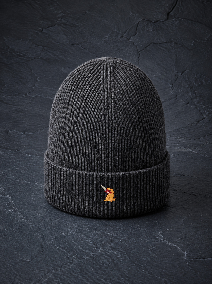 A ribbed beanie in charcoal standing on dark slate, the embroidered bird on the turn-up.